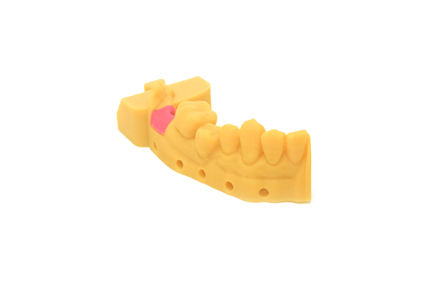 GM100 Gingiva Mask Resin-3d printing model-4