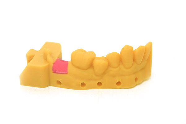 GM100 Gingiva Mask Resin-3d printing model-2