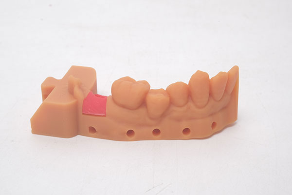 GM100 Gingiva Mask Resin-3d printing model-6