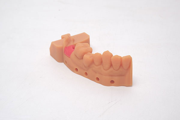 GM100 Gingiva Mask Resin-3d printing model-5